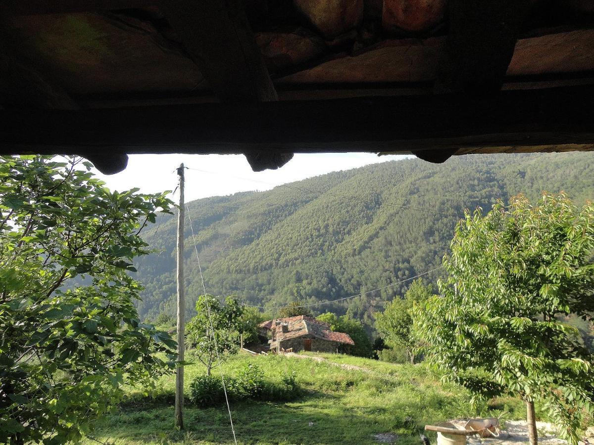 Casa Dos Livros Villa Talasnal Buitenkant foto
